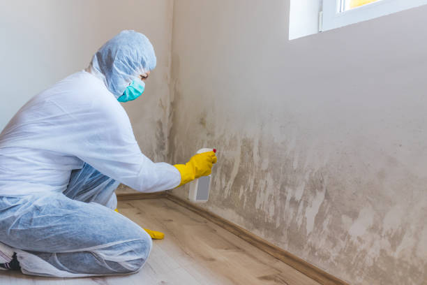 Licensed Crawl Space Mold Removal service in Rocky Mount, NC - WQB Mold Removal