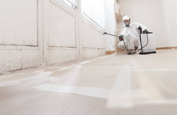 24/7 Emergency Crawl Space Mold Removal experts in Rocky Mount, NC
