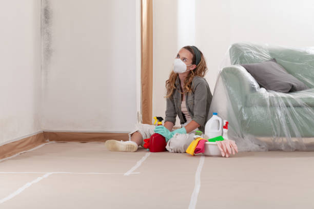 Reliable Crawl Space Mold Removal contractor in Rocky Mount, NC by WQB Mold Removal